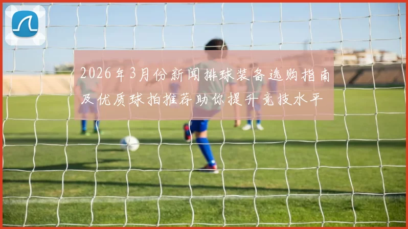 2026年3月份新闻排球装备选购指南及优质球拍推荐助你提升竞技水平